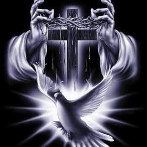 Meet your Posher, Onnika